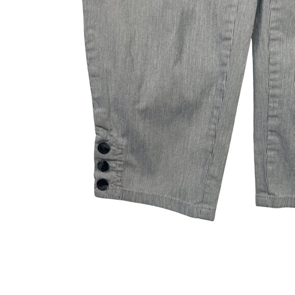 Charter Club Womens Classic Fit Striped Pants Size 10 Cotton/Spandex - Picture 2 of 6